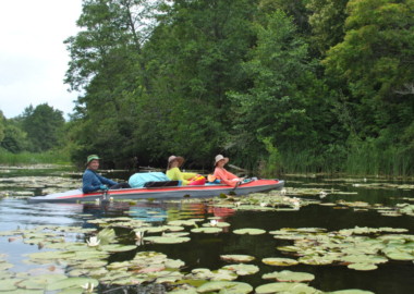 Сплав на байдарках по р. Битюг
