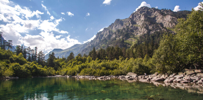 Экскурсионные программы