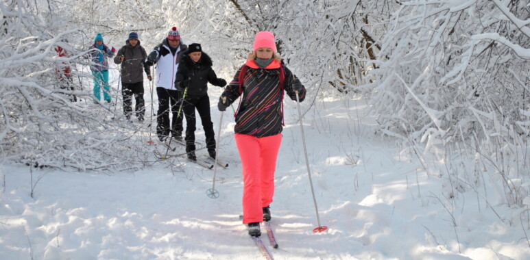 Беговые лыжи