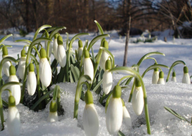 Поход “За подснежником”! Семашко-Два Брата!