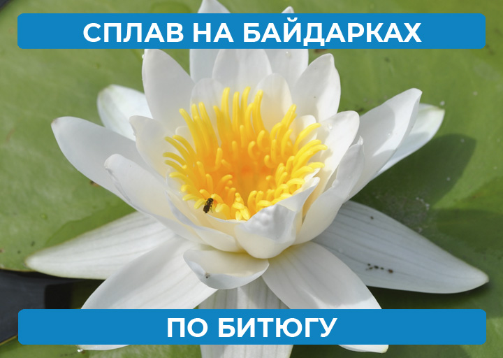 Сплав по р. Битюг