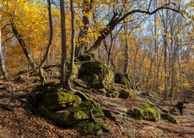 Осенние выходные в Псебае! Походы и экскурсии!