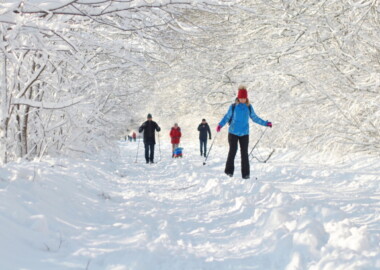 Беговые лыжи в Щепкинском лесу. Воскресенье.