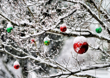 Новый год в Адыгее. 4 дня