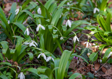 Поход “За подснежником”! Водопады Ачибс + Грозовые ворота!