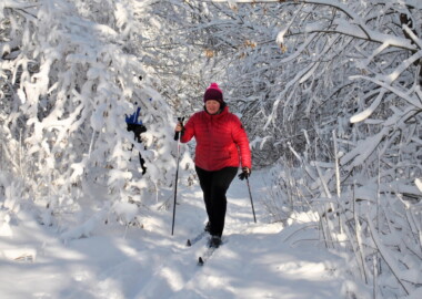 Беговые лыжи в Щепкинском лесу. Воскресенье.