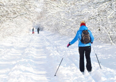 Беговые лыжи в Щепкинском лесу. Суббота