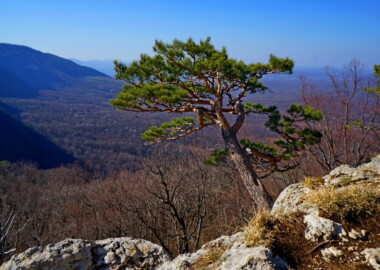Поход в каньон Матузки!