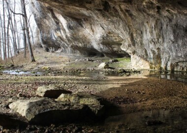 Экпериментальная Гуамка! Обучение + разведка!