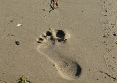 Курс выживания в природной среде. Август