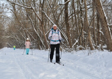 Беговые лыжи в Щепкинском лесу. Утро.